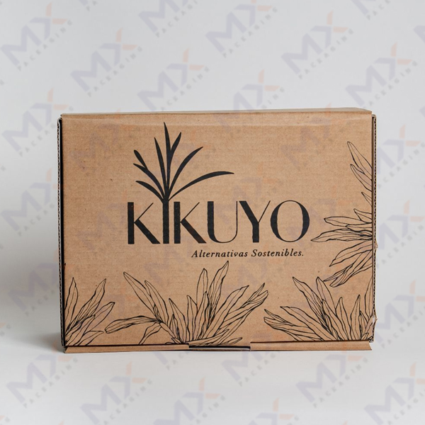 Kraft Corrugated Boxes - view 4